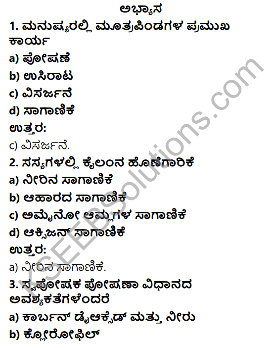 2nd Puc English Notes 2016 Karnataka Pdf